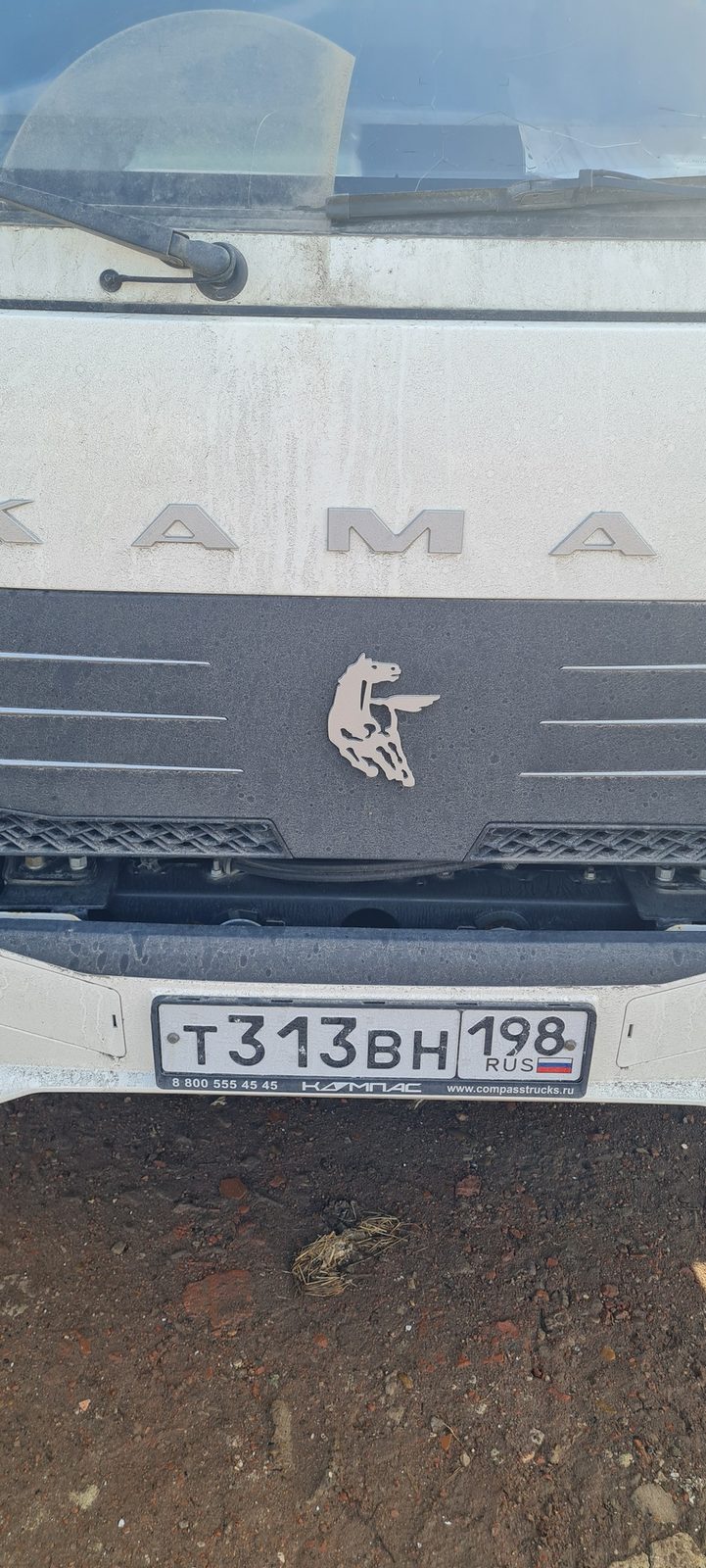 КАМАЗ Компас 9 (ш-бортовой РУСТРАК 5389Е1 на ш КАМАЗ 43089-44511)