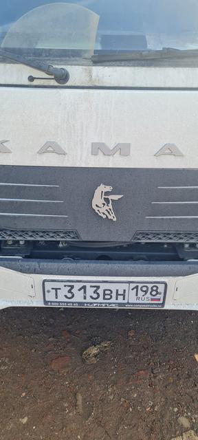 КАМАЗ Компас 9 (ш-бортовой РУСТРАК 5389Е1 на ш КАМАЗ 43089-44511)