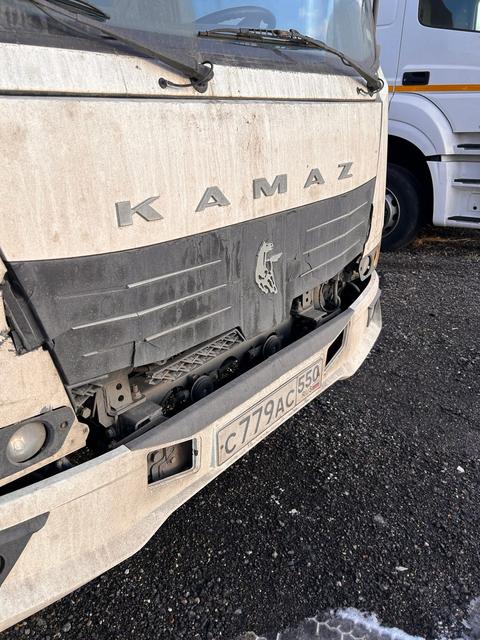 КАМАЗ Компас 12 (шторно-борт. РУСТРАК 4389A1 на ш.КАМАЗ 43082) — фото 6