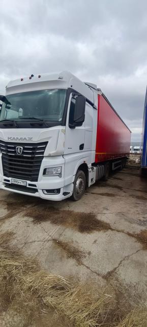 КАМАЗ Седельный тягач КАМАЗ 54901-70014-СА — фото 22